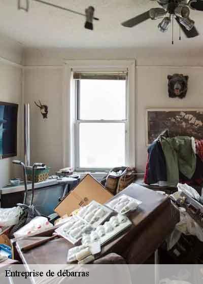 Entreprise de débarras  laiz-01290 RJ Benne