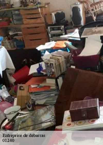 Entreprise de débarras saint-andre-le-bouchoux-01240 RJ Benne